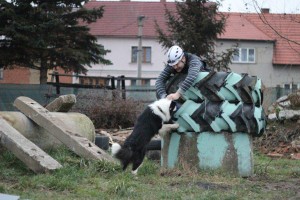 Vlkos_226