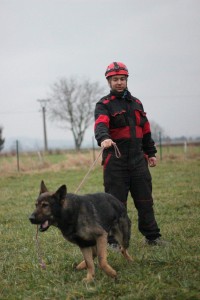 Vlkos_233