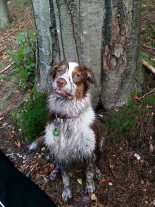 10.2014 molly