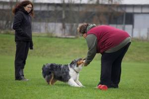 10372782_10203006654789232_6291036369524129633_n