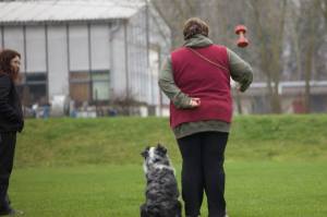 10646652_10203006653989212_5381706601817862388_n