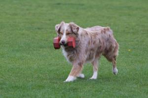 10801664_10203006650829133_1550013462282824609_n