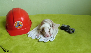 14-04-06 Bibiana I