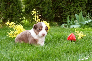 14-04-12 Babiel V