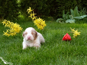 14-04-12 Basileia I