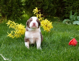 14-04-12 Beatrix V