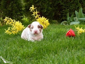 14-04-12 Bibiana II