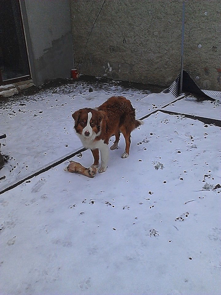 2.12.2014 Bejby