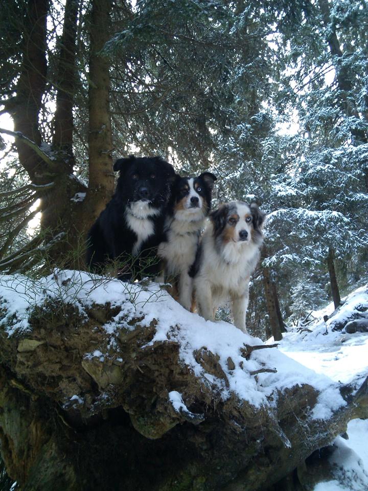27.12.2014