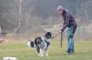 22.3.2015 Dý XI.