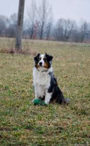 _DSC0231