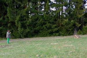 IMGP5085_spaleniste_duben_2015