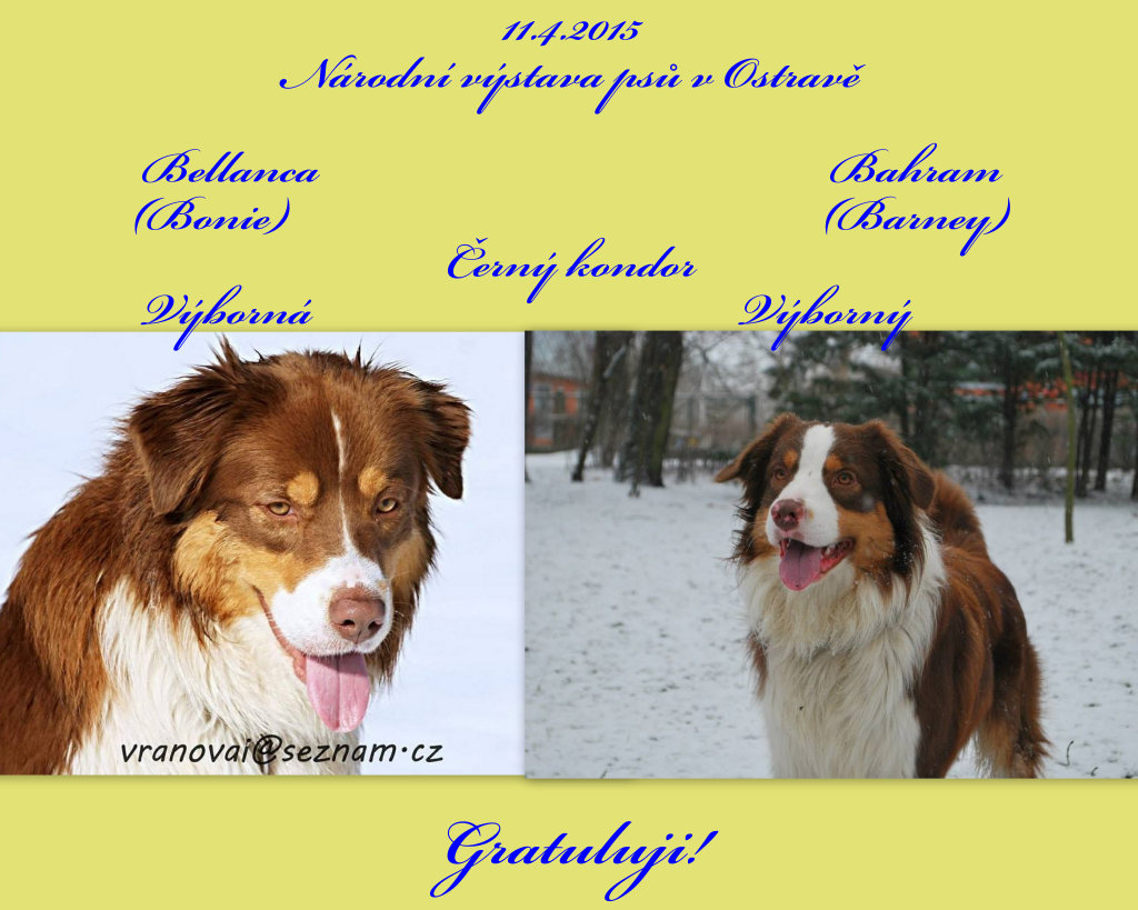 NVP Ostrava 11.4.2015 Bonie+Barney
