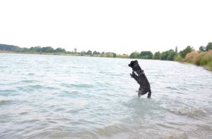 11214372_1040027079341445_5043344423178812120_n