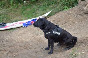 11235806_1040027106008109_7942969464132411712_n