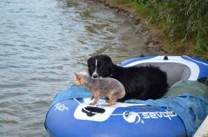 11873373_1040027926008027_4750312118244106101_n