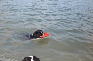 11891063_1040027896008030_6281820484910126426_n