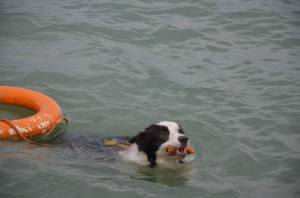 11891115_1040027002674786_6944744756783765372_n