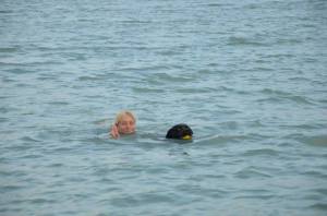 11891139_1040027319341421_681712682123468978_n