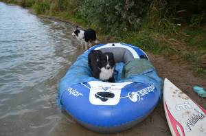 11947423_1040027886008031_1520287472955008869_n