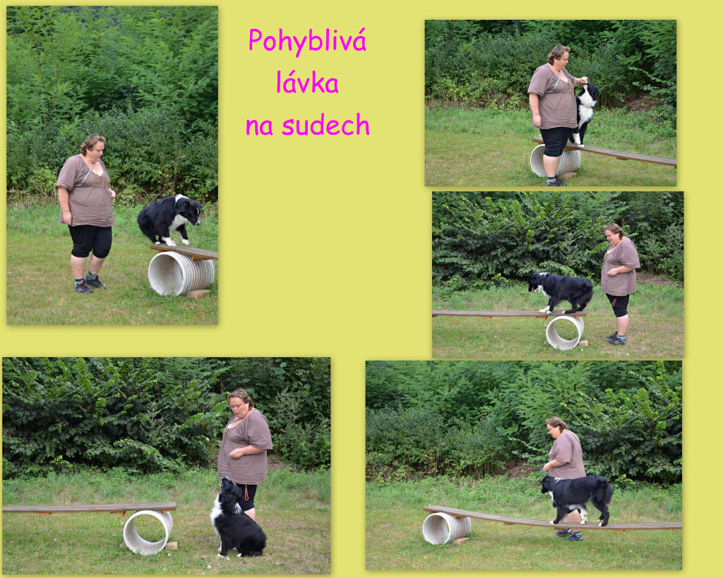 Pohyblivá lávka na sudech