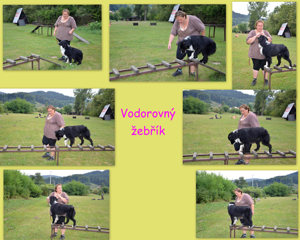 Vodorovný žebřík