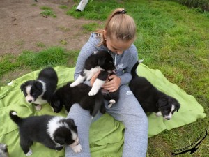24-9-2016-navsteva-vii