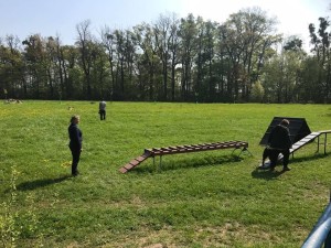 18194695_10207457718076105_8941292817420984164_n