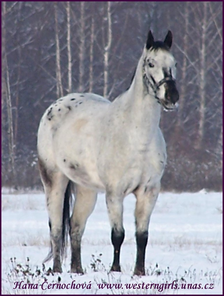 7.1.10 Barney II